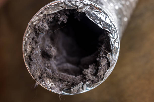 Best Air Duct Inspection  in Blountstown, FL