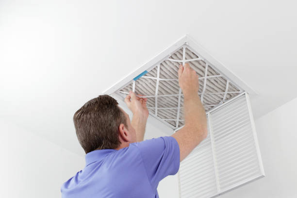 Best Ductwork Cleaning Services  in Blountstown, FL